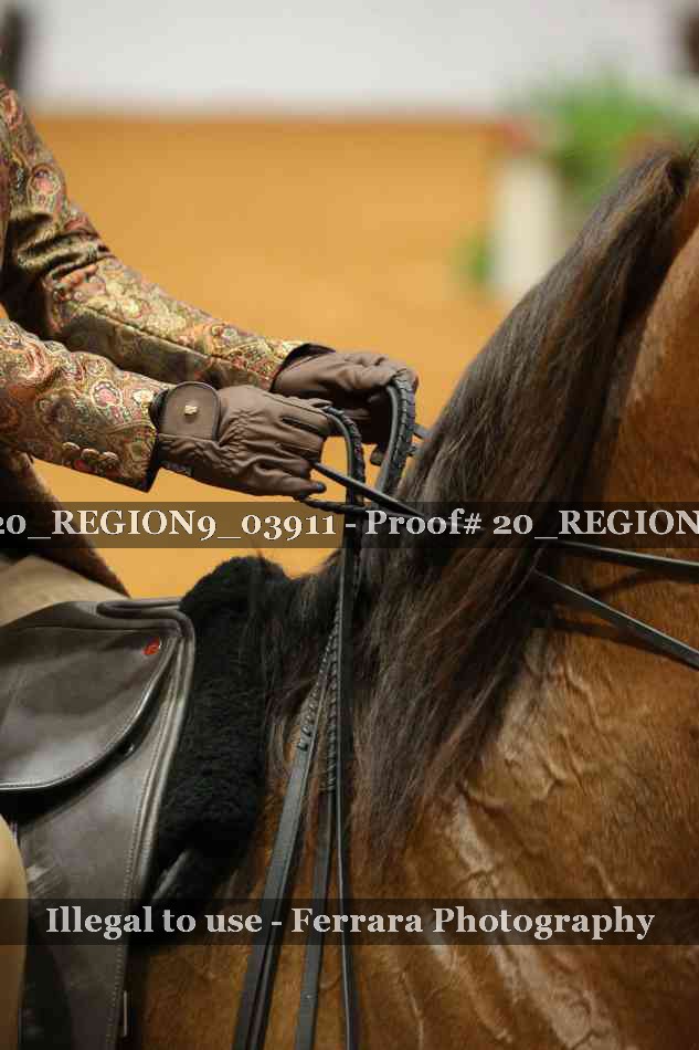 Proof 20_REGION9_03911