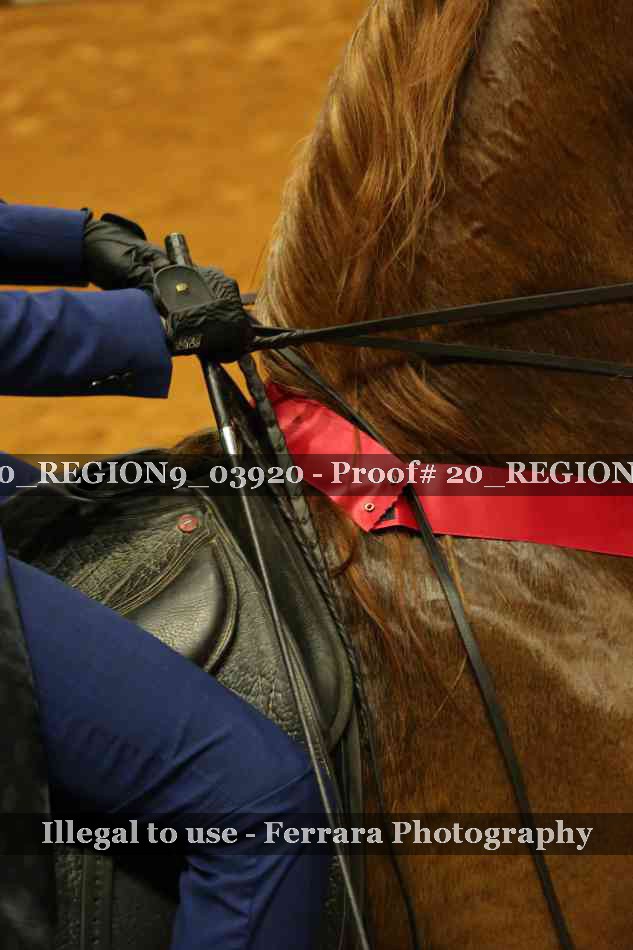 Proof 20_REGION9_03920