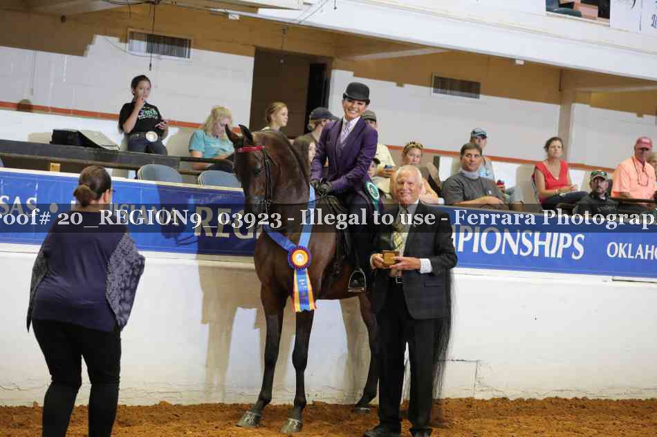 Proof 20_REGION9_03923