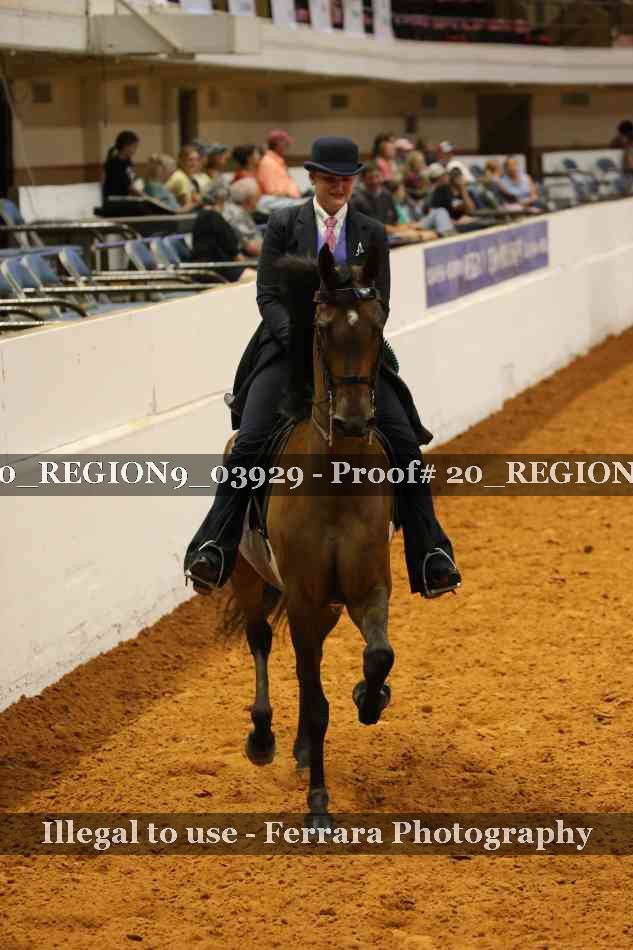 Proof 20_REGION9_03929