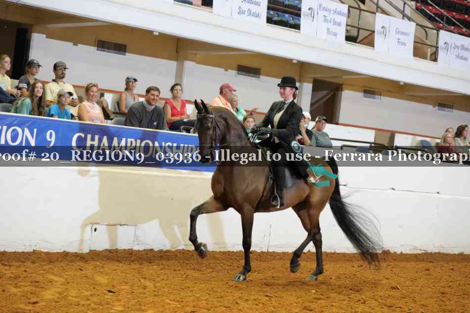 Proof 20_REGION9_03936