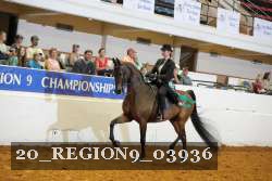 20_REGION9_03936 proof