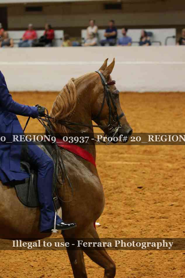 Proof 20_REGION9_03937