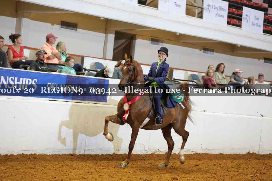 Proof 20_REGION9_03942