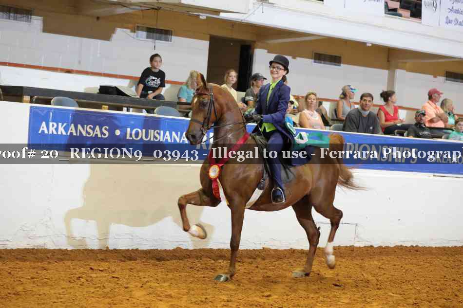 Proof 20_REGION9_03943