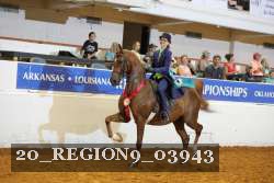 20_REGION9_03943 proof
