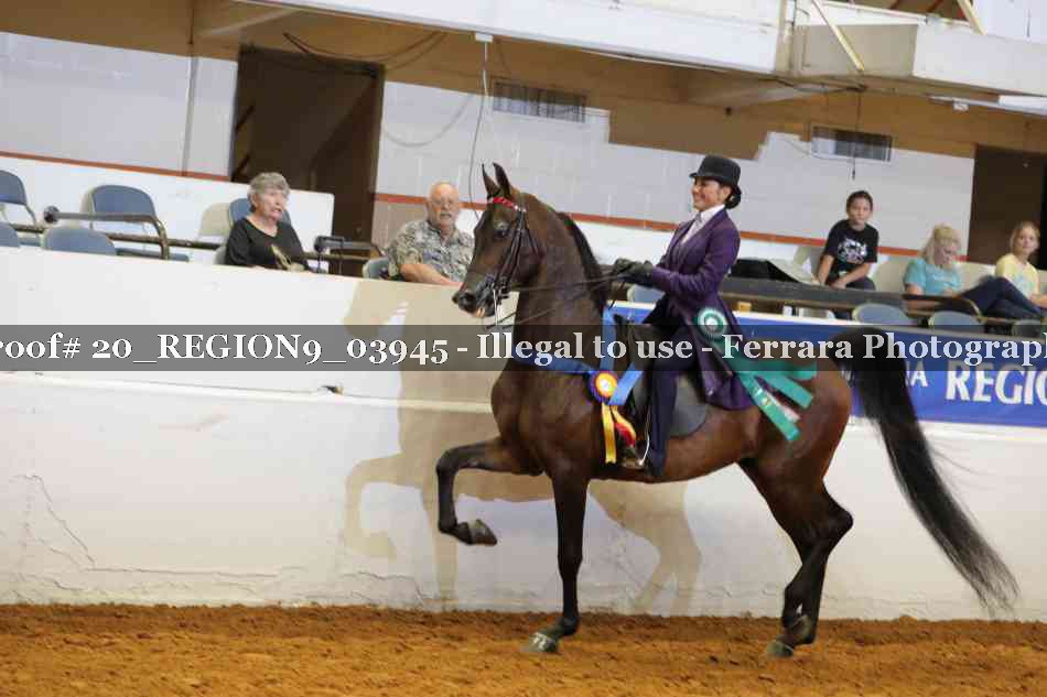 Proof 20_REGION9_03945