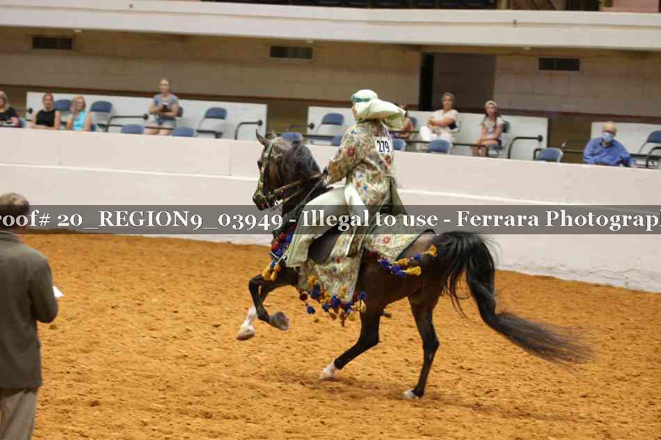 Proof 20_REGION9_03949