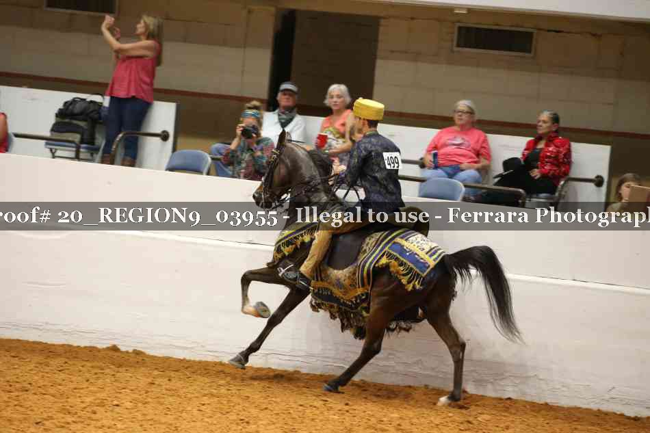 Proof 20_REGION9_03955