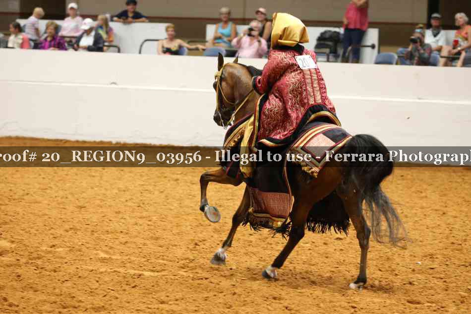 Proof 20_REGION9_03956