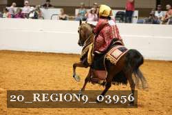 20_REGION9_03956 proof