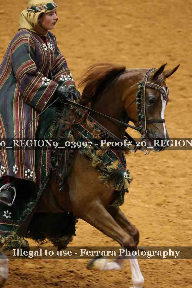 Proof 20_REGION9_03997