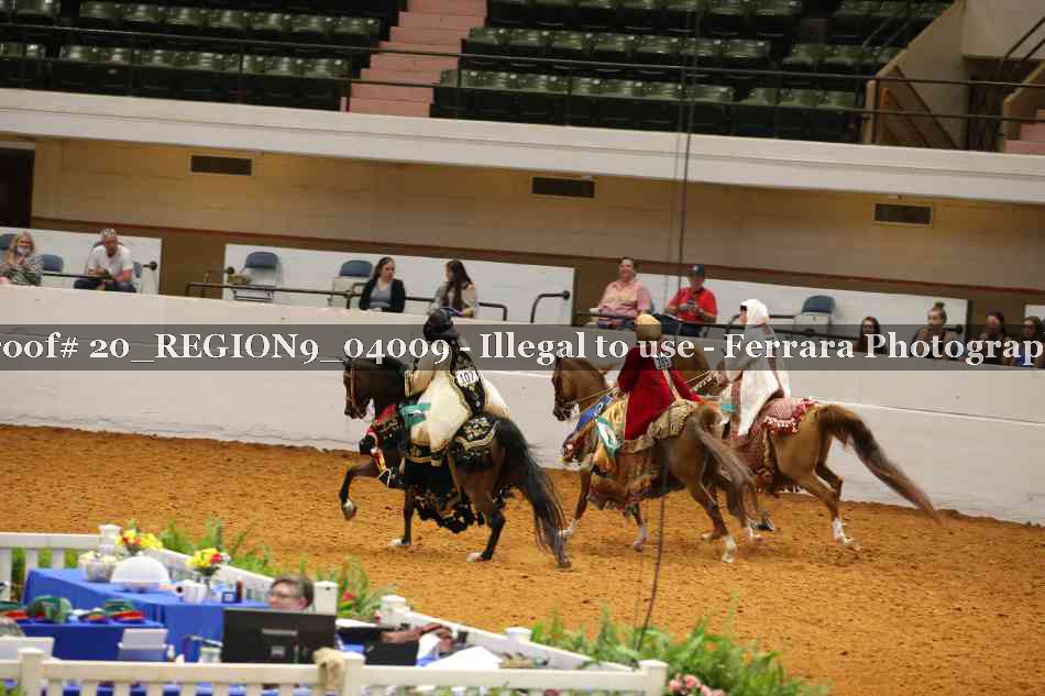 Proof 20_REGION9_04009
