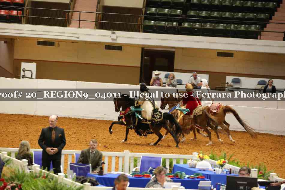 Proof 20_REGION9_04011
