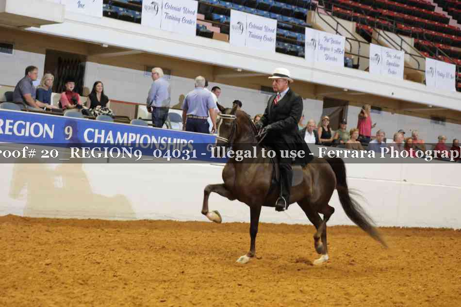 Proof 20_REGION9_04031