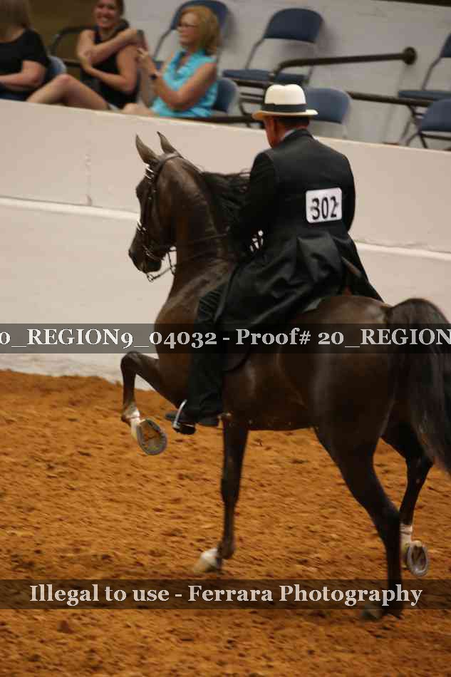 Proof 20_REGION9_04032