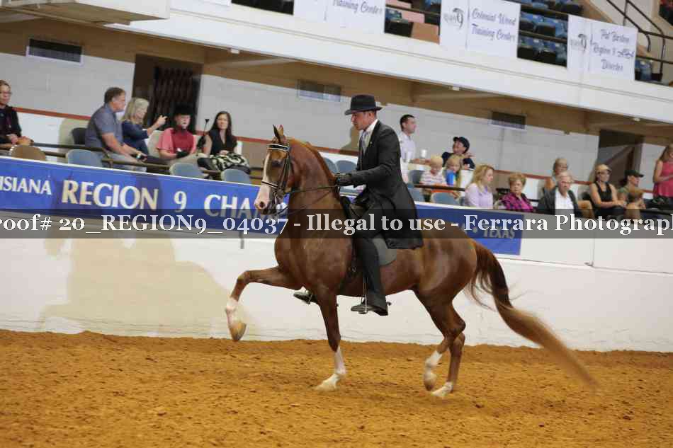 Proof 20_REGION9_04037