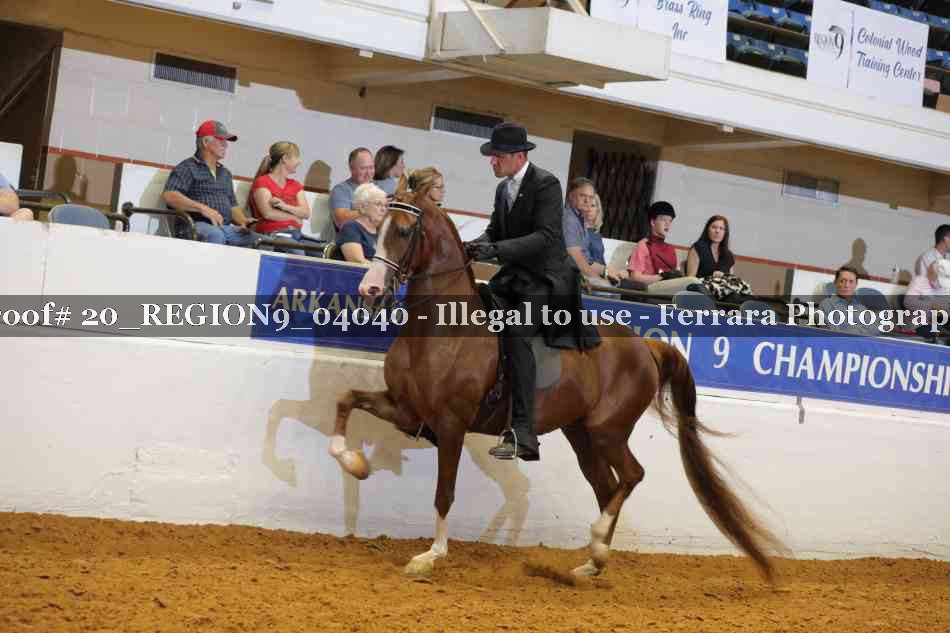 Proof 20_REGION9_04040