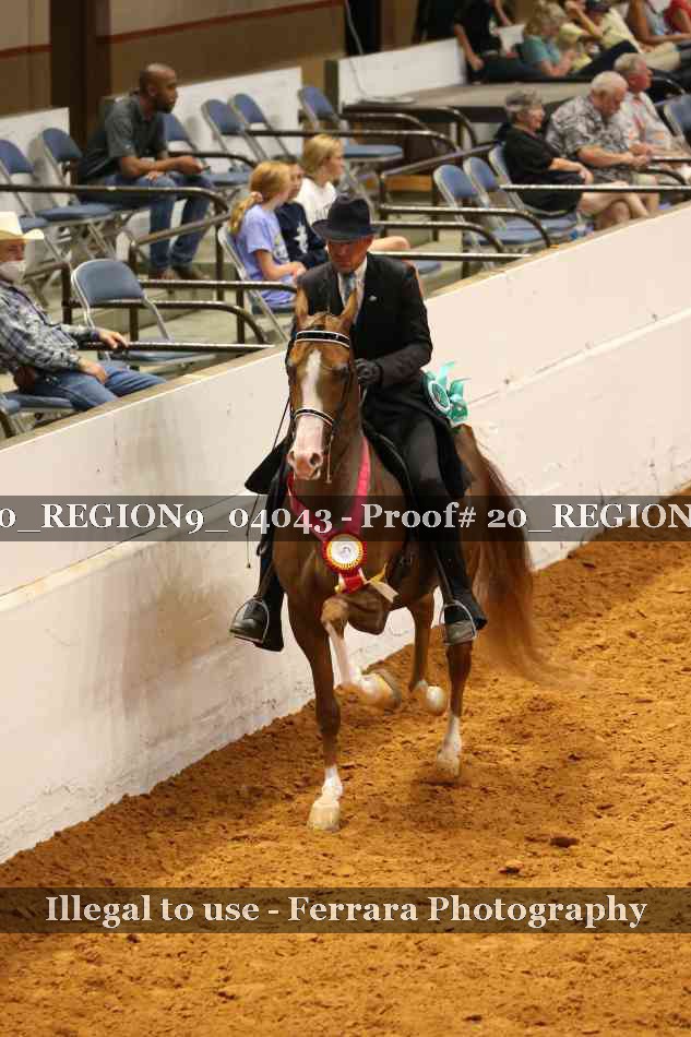 Proof 20_REGION9_04043