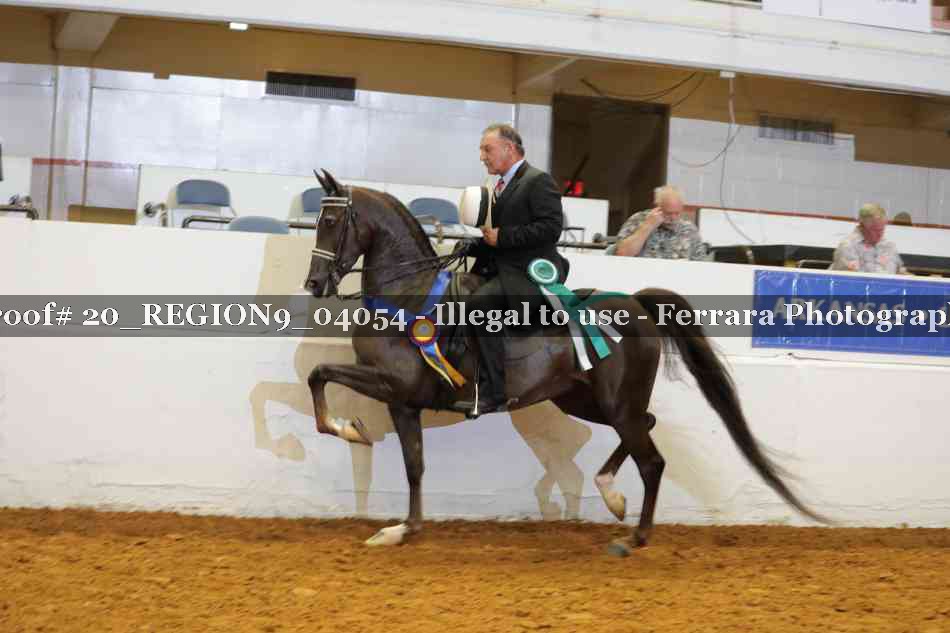 Proof 20_REGION9_04054