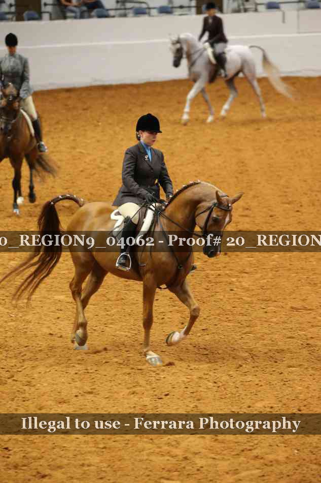 Proof 20_REGION9_04062