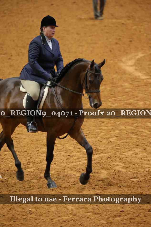 Proof 20_REGION9_04071