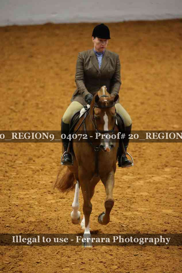 Proof 20_REGION9_04072