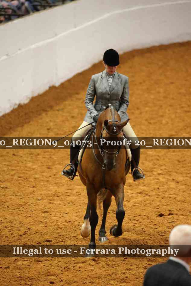 Proof 20_REGION9_04073