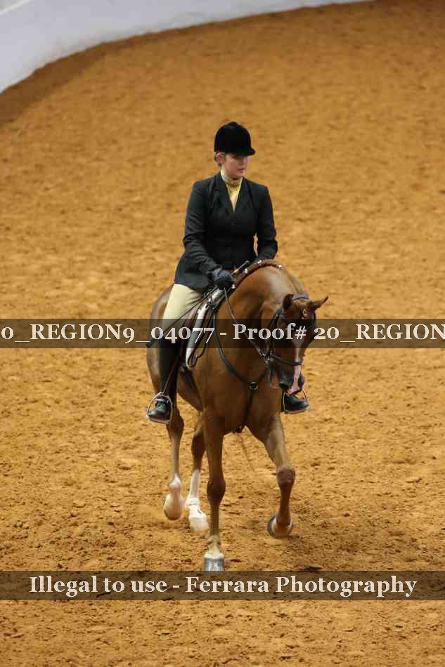 Proof 20_REGION9_04077