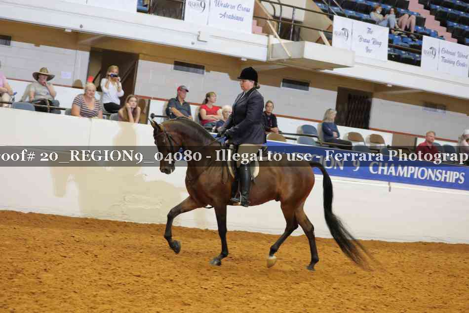 Proof 20_REGION9_04080