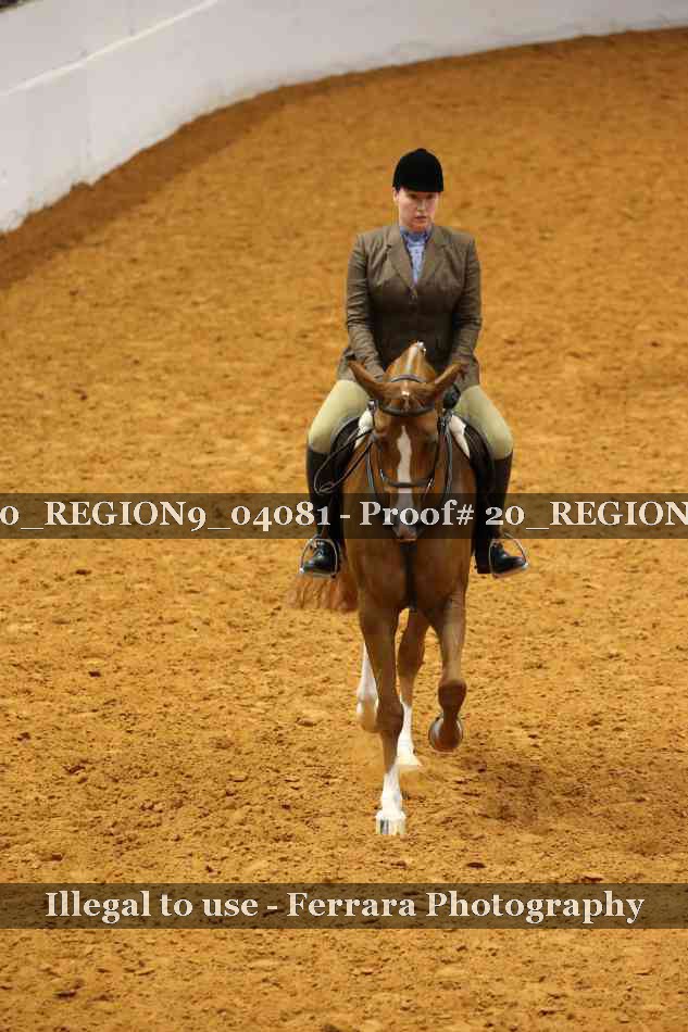 Proof 20_REGION9_04081