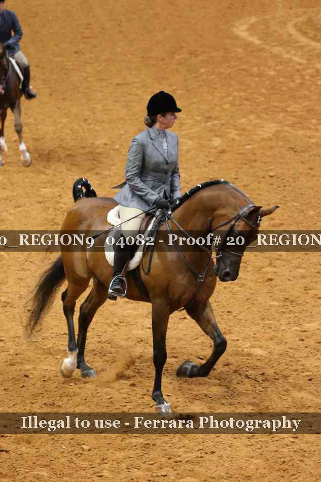 Proof 20_REGION9_04082
