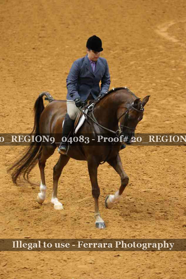 Proof 20_REGION9_04083