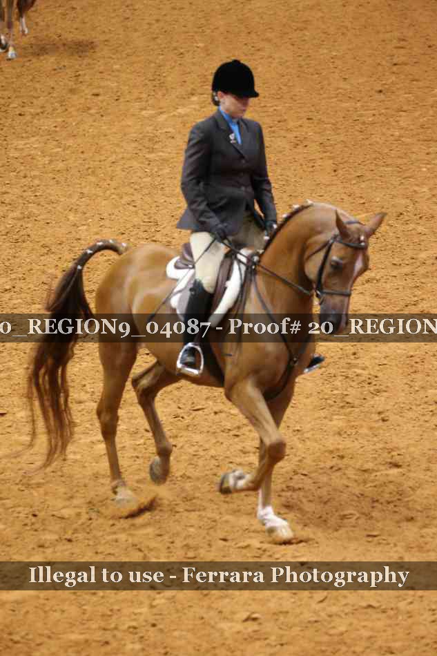 Proof 20_REGION9_04087