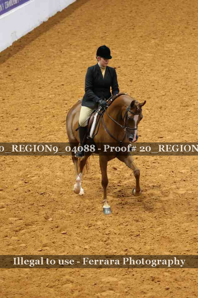 Proof 20_REGION9_04088