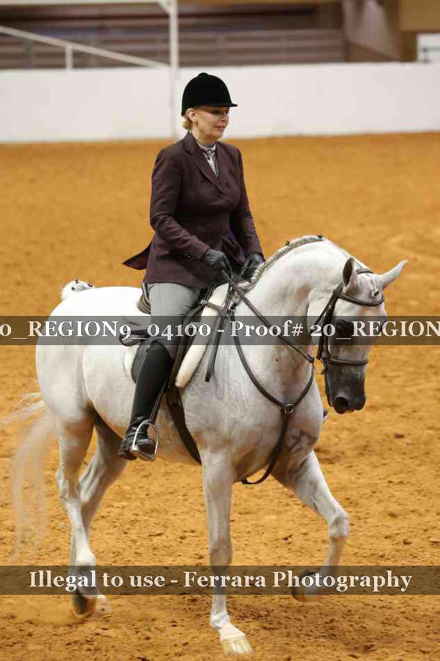 Proof 20_REGION9_04100