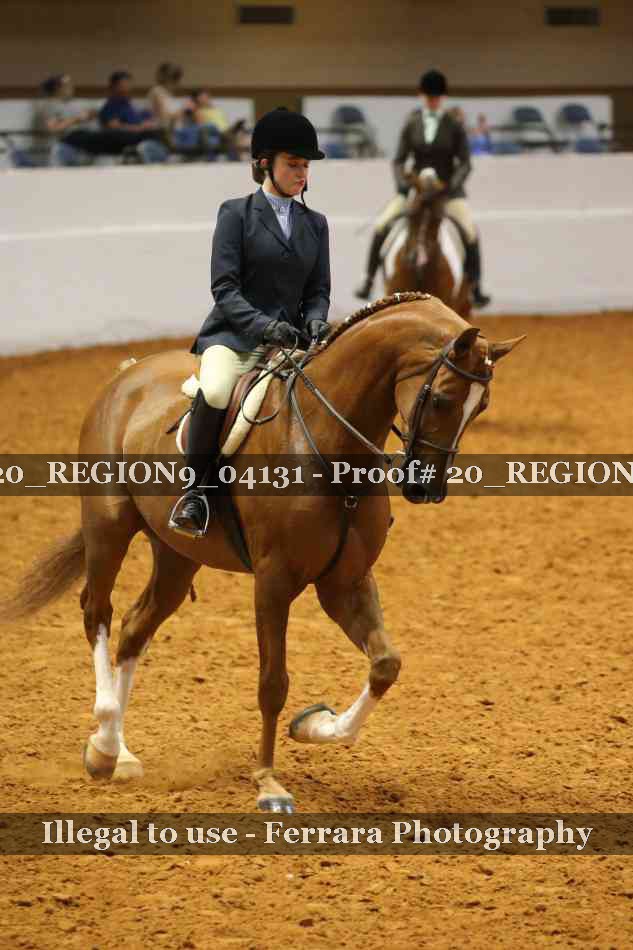 Proof 20_REGION9_04131