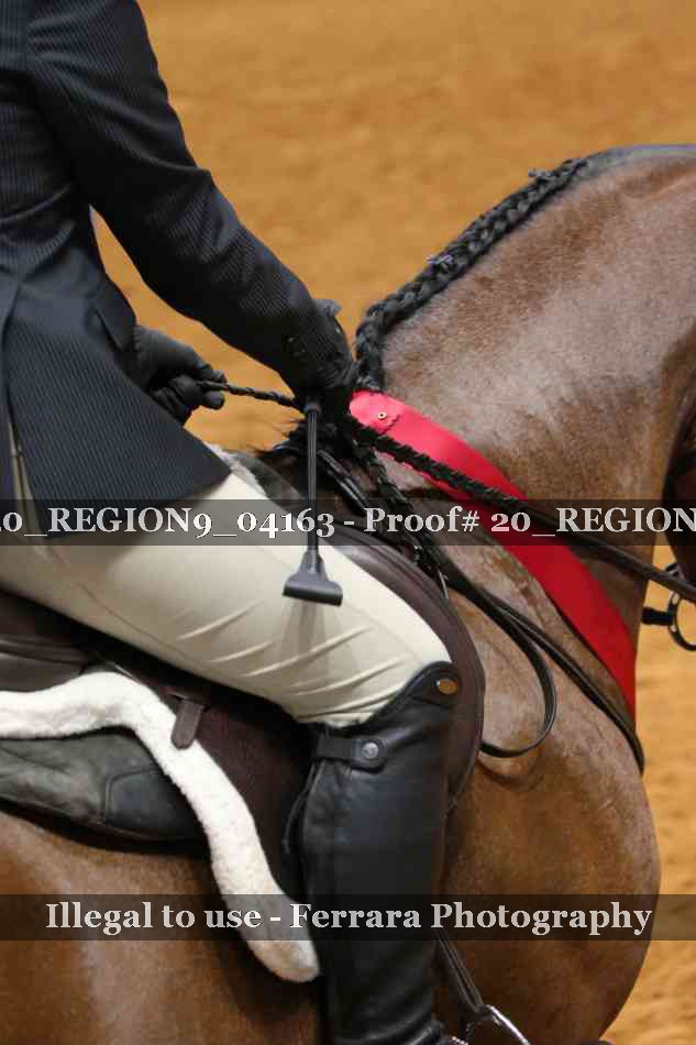 Proof 20_REGION9_04163