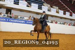 20_REGION9_04195 proof