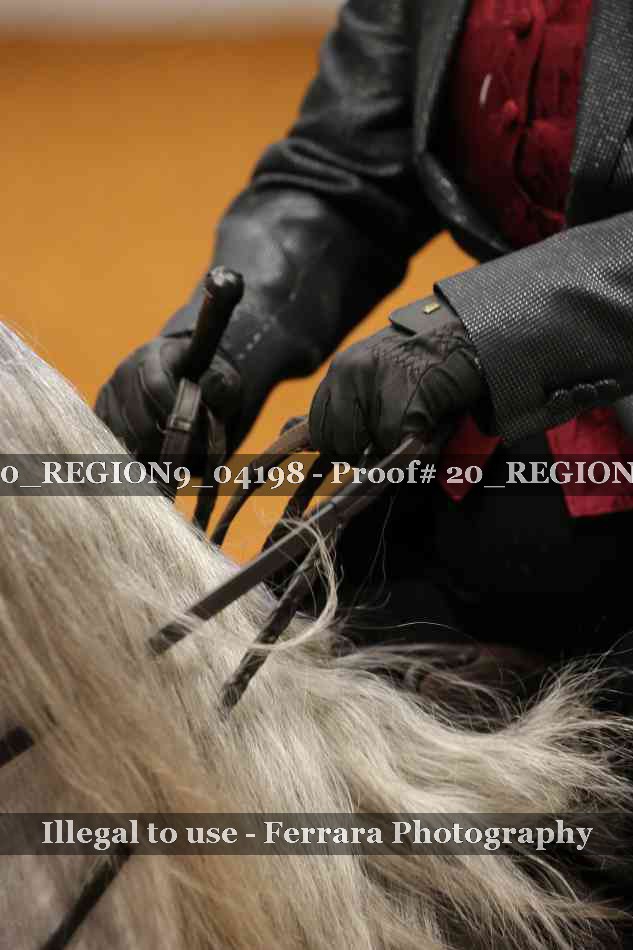 Proof 20_REGION9_04198