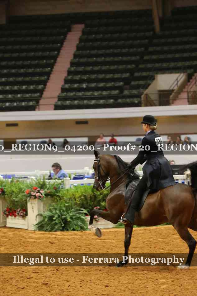 Proof 20_REGION9_04200