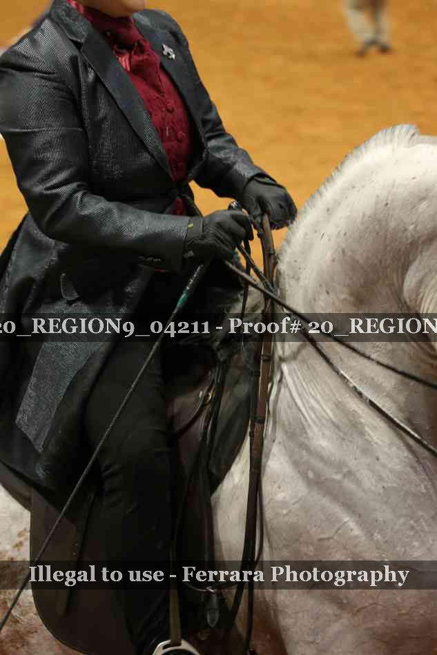 Proof 20_REGION9_04211