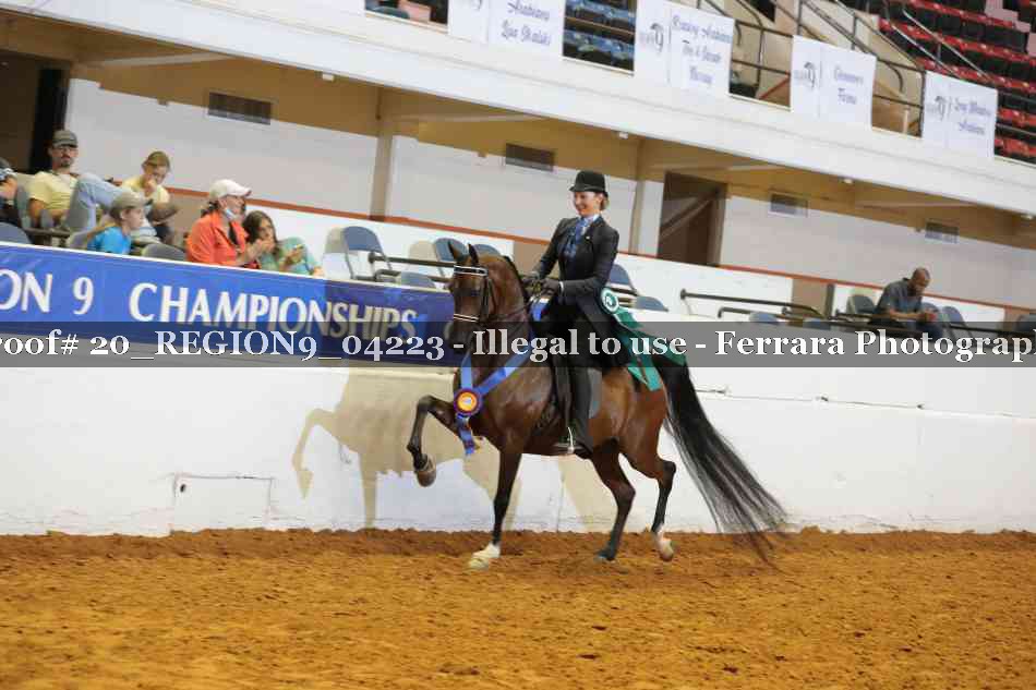 Proof 20_REGION9_04223