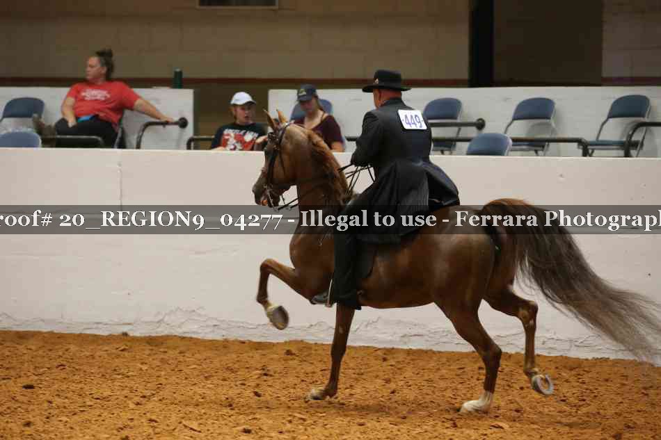 Proof 20_REGION9_04277