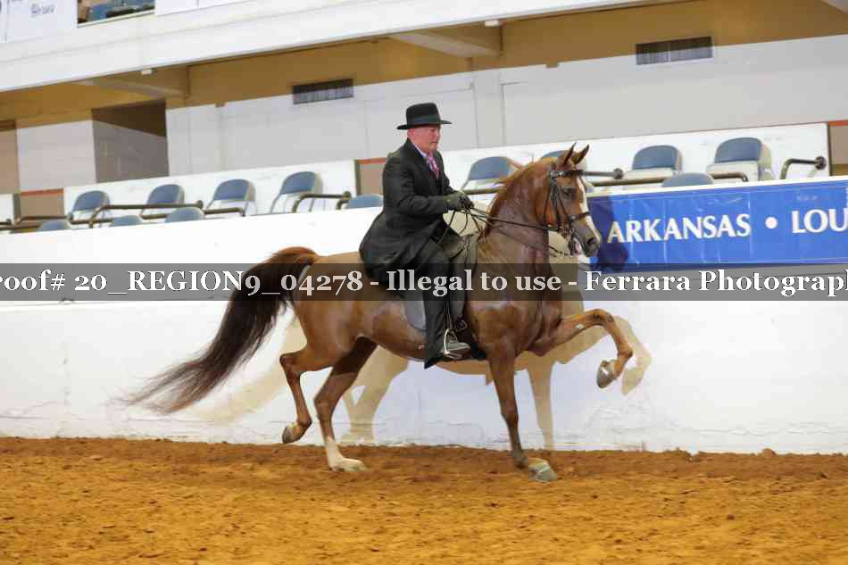Proof 20_REGION9_04278