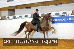 20_REGION9_04278 proof