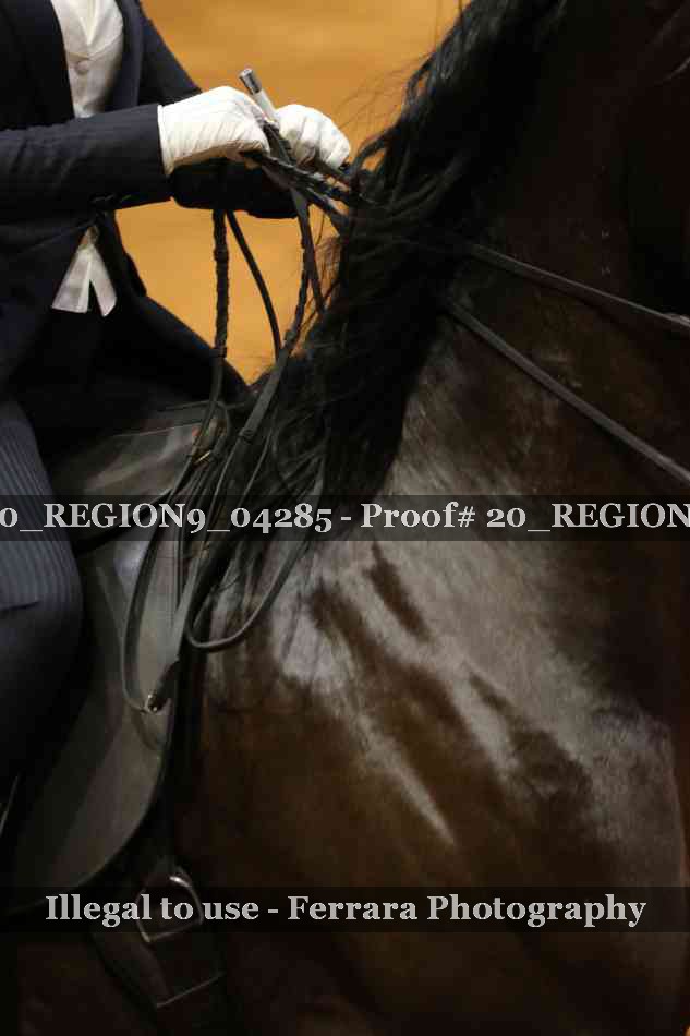 Proof 20_REGION9_04285