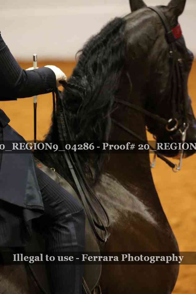 Proof 20_REGION9_04286