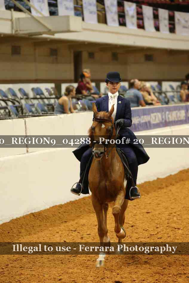 Proof 20_REGION9_04288