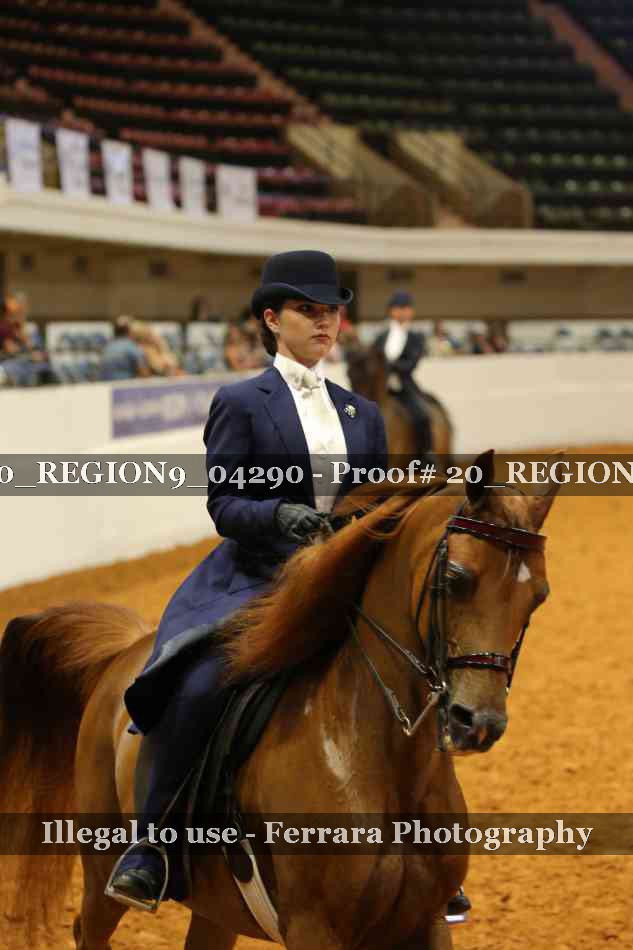 Proof 20_REGION9_04290